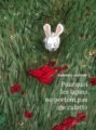 pourquoi-lapin-antonin-louchard-reel-salon-livre-montauban